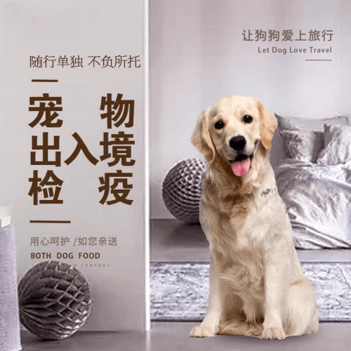 南宁宠物托运到哥伦比亚猫狗宠物入境规定和