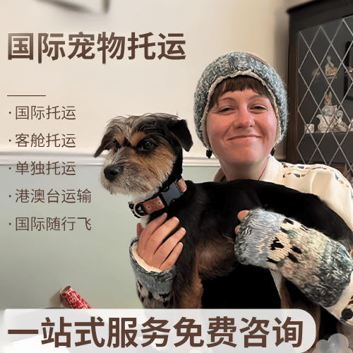 南宁国际宠物托运到阿根廷宠物入境规定和要
