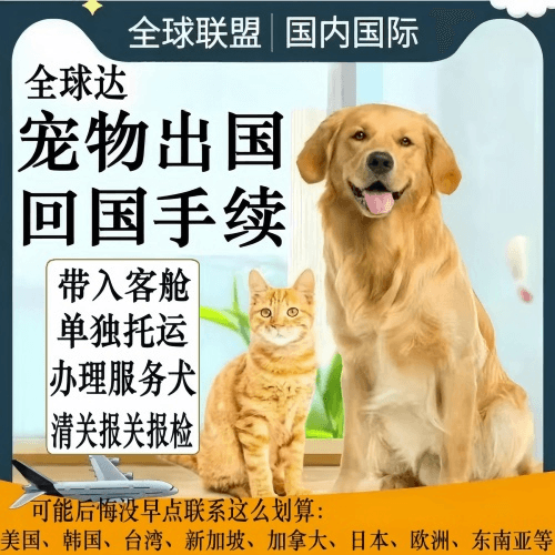 南宁宠物托运到柬埔寨宠物入境规定和要求