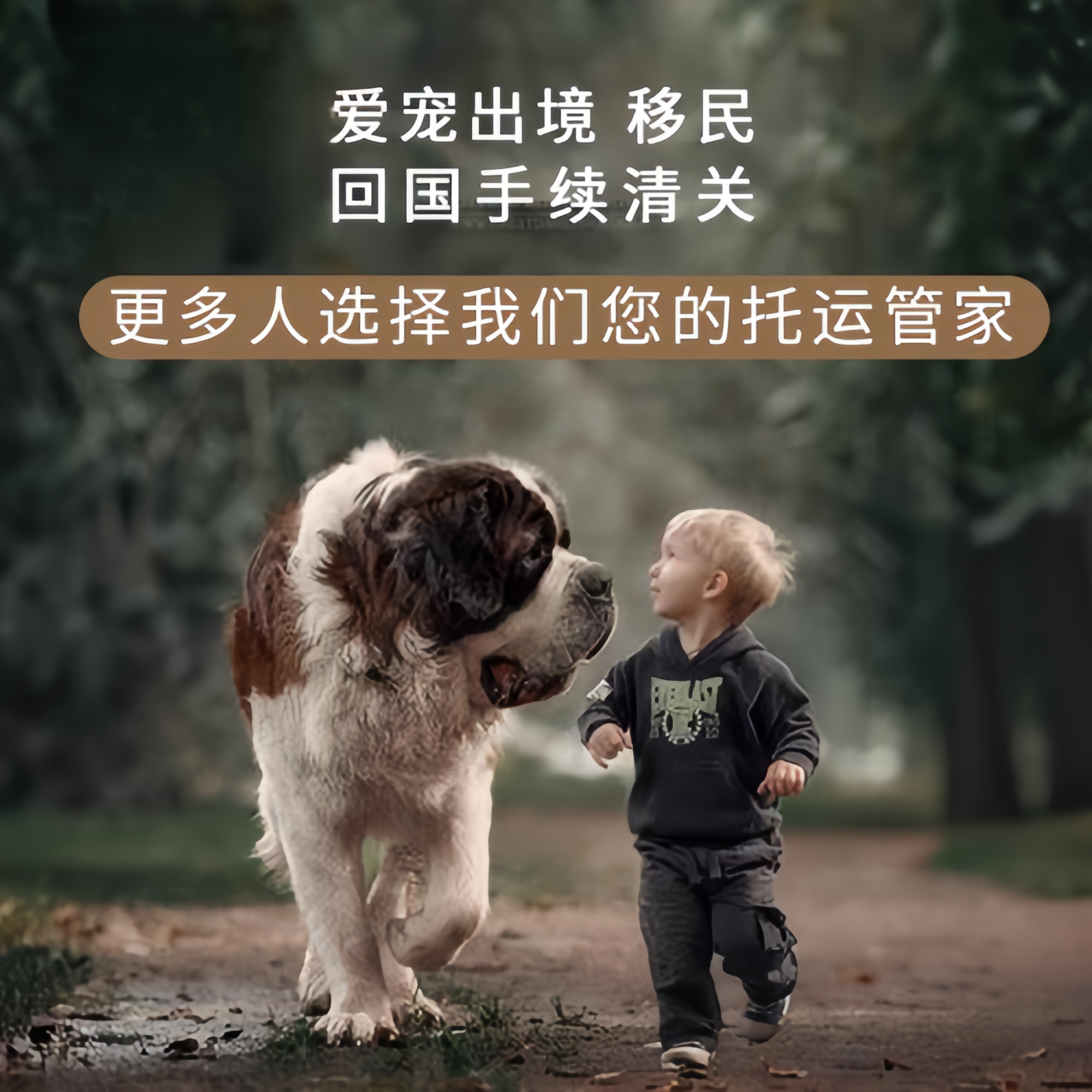 满财南宁宠物全球达宠物托运在遵守入境目的地政策的条件