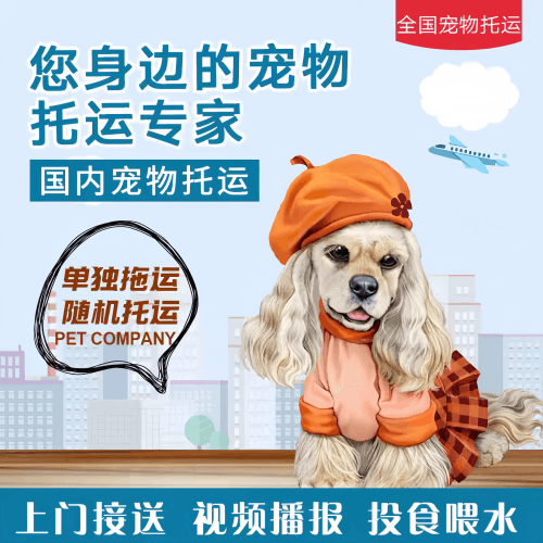 满财南宁宠物全球达宠物托运作为专业的宠物运输代理机构